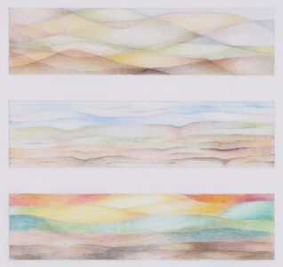 "high desert bloom" preliminary design maquette