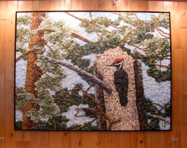 "treetop view" full view after installation