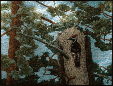 "treetop view" full view