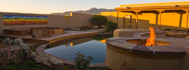 "high desert bloom" in courtyard surround. Photo credit: NoMo, LLC.