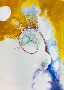 "cloud forms & plant patterns"