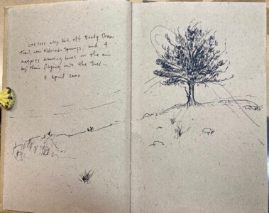 "Doudy Draw Trail sketch"