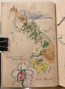 "Mount Sanitas Trail sketch"